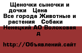 Щеночки-сыночки и дочки › Цена ­ 30 000 - Все города Животные и растения » Собаки   . Ненецкий АО,Волоковая д.